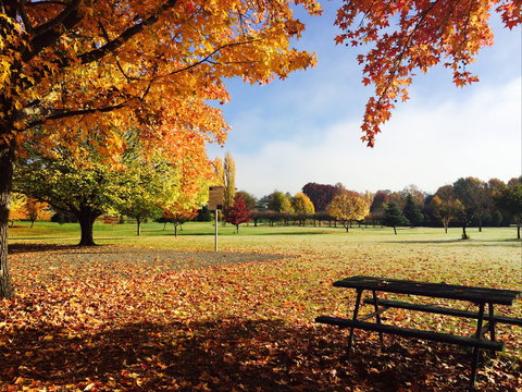 Tenterfield - Accommodation in Bendigo 2