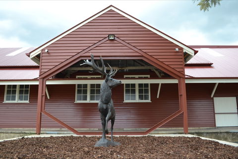 The Somerset Regional Art Gallery - The Condensery - Accommodation in Bendigo 1