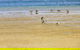 Towra Beach - thumb 0