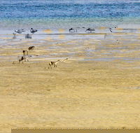 Towra Beach - Accommodation in Bendigo