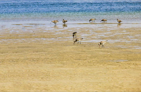 Towra Beach - Accommodation in Bendigo 0