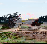 Turbo Buggy Ride - Accommodation in Bendigo