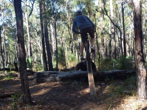 Turner Hill Mountain Bike Trail, Murray - Accommodation in Bendigo 1