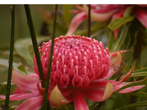 Vortex Healing Centre - Accommodation in Bendigo 2