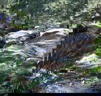 Washpools waterhole - Accommodation in Bendigo