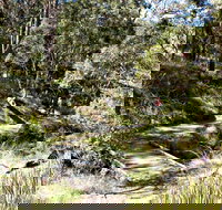 Wollomombi Walking Track - Accommodation in Bendigo