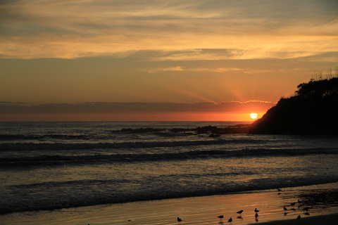 Woolgoolga - Accommodation in Bendigo 2