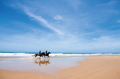 Worimi National Park - Accommodation in Bendigo 2