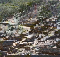 Adelong Falls Gold Mill Ruins