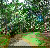 Adungadoo Pathway - Accommodation in Bendigo