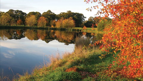 Alpine - Accommodation in Bendigo 0