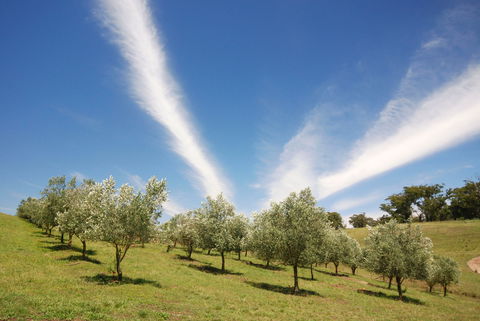 Alpine - Accommodation in Bendigo 2