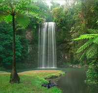 Atherton Tablelands - Accommodation in Bendigo