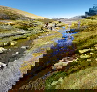 Australian Alps Walking Track - Accommodation in Bendigo