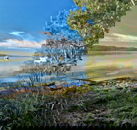 Black Oaks Picnic Area - Accommodation in Bendigo