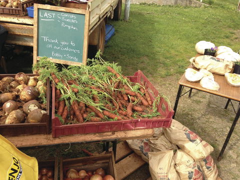 Burnie Farmers Market - Accommodation in Bendigo 0