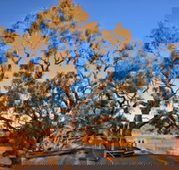 Burke and Wills Dig Tree - Accommodation in Bendigo