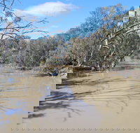 Bush Tucker Trail - Accommodation in Bendigo