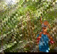 Canungra - Accommodation in Bendigo