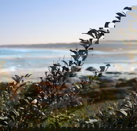 Cape Conran Coastal Park - Accommodation in Bendigo