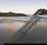Cape Hillsborough National Park - Accommodation in Bendigo
