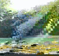 Cedar Creek Falls - Accommodation in Bendigo