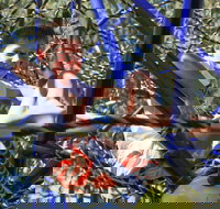 City Park - Accommodation in Bendigo