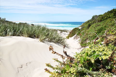 Coffin Bay National Park - Accommodation in Bendigo 1