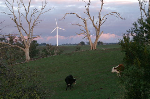 Crookwell Wind Farm - Accommodation in Bendigo 1