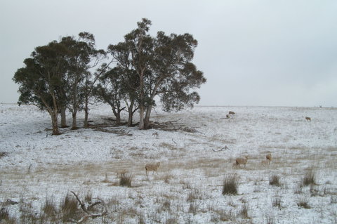 Crookwell Wind Farm - Accommodation in Bendigo 2