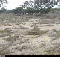 Culgoa Connellys Track - Accommodation in Bendigo