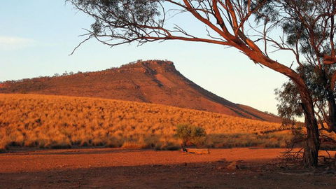 Dutchman Stern Conservation Park Trail - Accommodation in Bendigo 0
