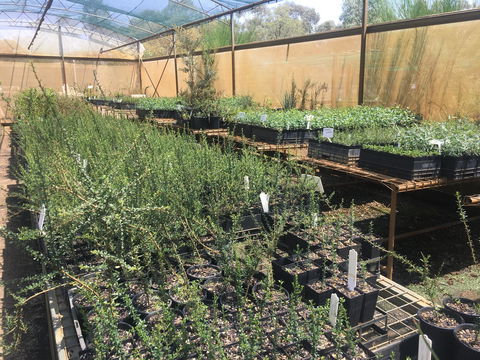 Euroa Arboretum - Accommodation in Bendigo 1