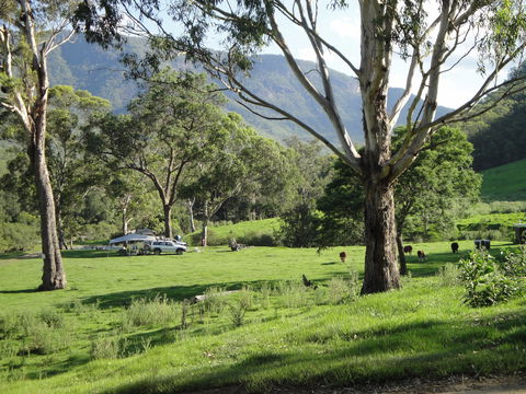 Georges Creek - Accommodation in Bendigo 1