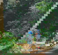 Gloucester National Park - Accommodation in Bendigo