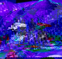 Glowing Rooms 3D Mini Golf - Accommodation in Bendigo