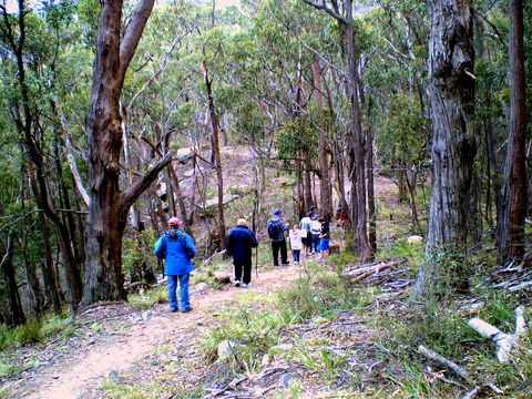 Greater Blue Mountains Heritage Trail - Accommodation in Bendigo 2