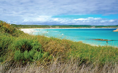 Great Ocean Drive - Accommodation in Bendigo 2
