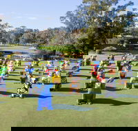 Hello Koalas Sculpture Trail - Accommodation in Bendigo