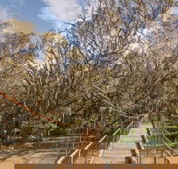 Lachlan River Swing Bridge - Accommodation in Bendigo