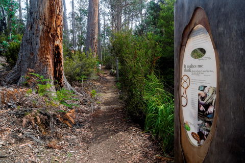 Lake St Clair (Cradle Mountain  - Lake St Clair National Park) - Accommodation in Bendigo 2