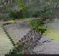 Leschenault Peninsula Conservation Park - Accommodation in Bendigo