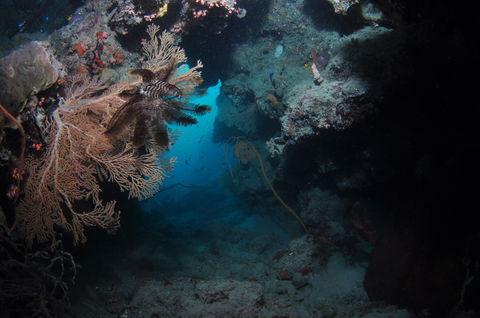 Luncheon Bay Dive Site - Accommodation in Bendigo 2