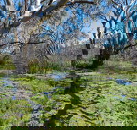 Macquarie Valley Trails - Accommodation in Bendigo