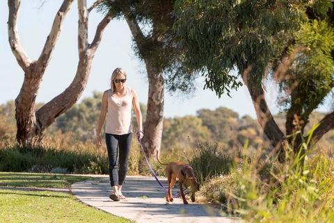 Meningie Walking And Cycling Trails - Accommodation in Bendigo 0