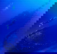 Merimbula Divers Lodge - Accommodation in Bendigo