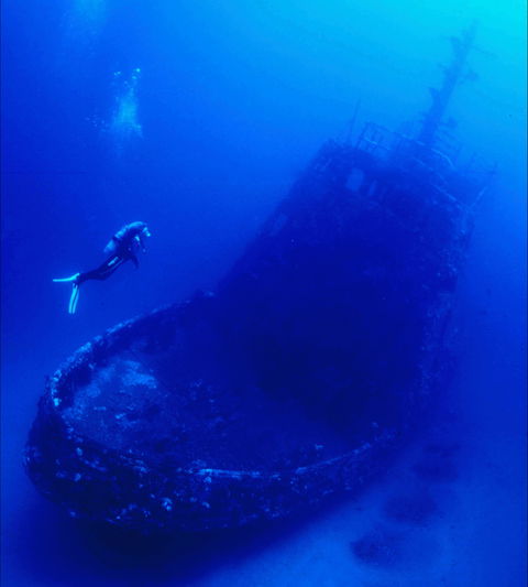 Merimbula Divers Lodge - Accommodation in Bendigo 0