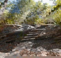 Mooney Mooney nature walk - Accommodation in Bendigo