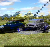 Moree Motor Enthusiasts - Accommodation in Bendigo