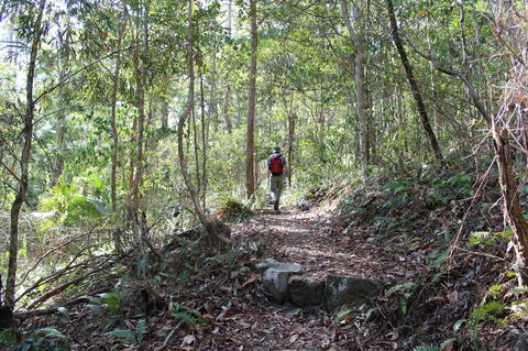Morelia Walking Track, D'Aguilar National Park - Accommodation in Bendigo 1